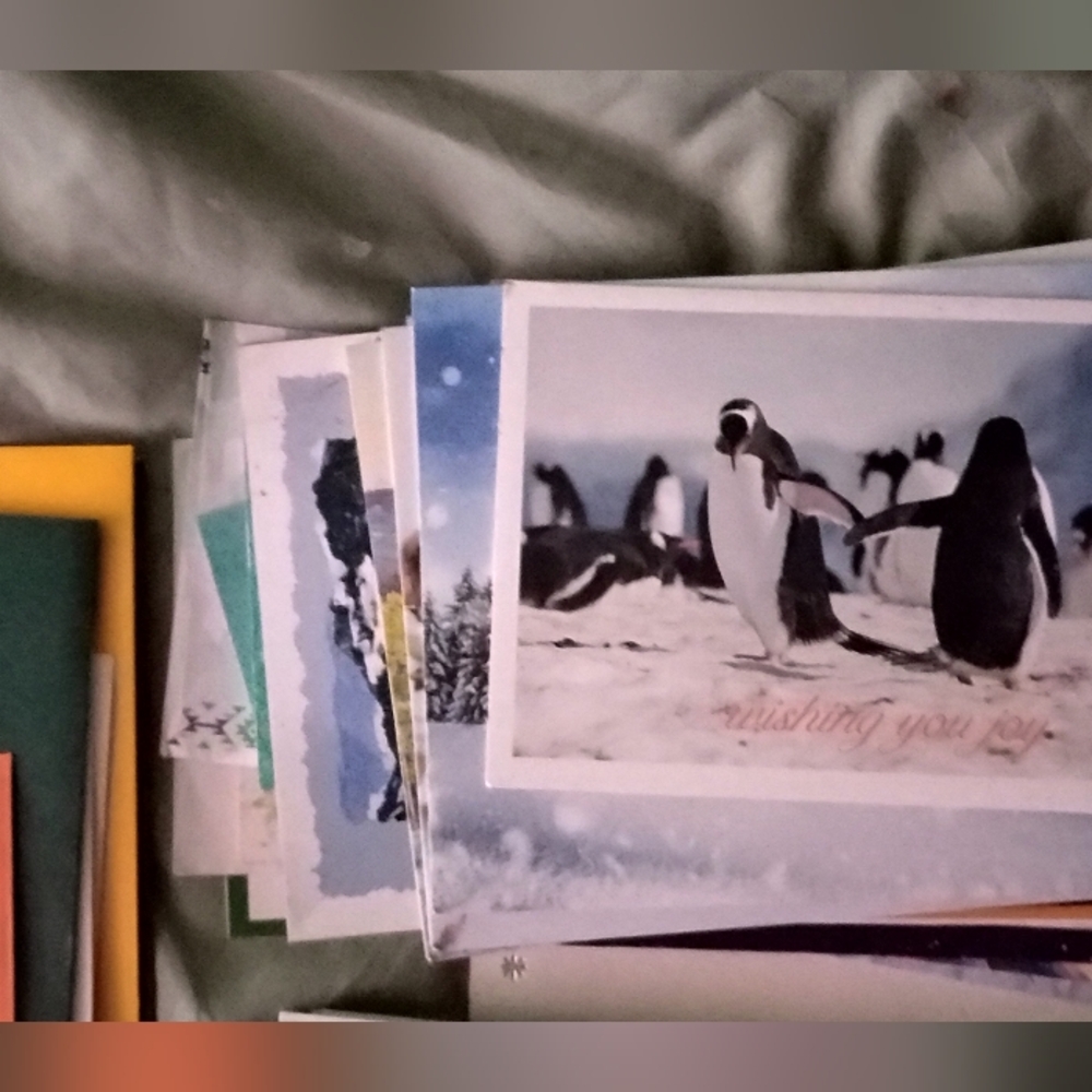 Assorted Greeting Cards Collection - Picture 3 of 8